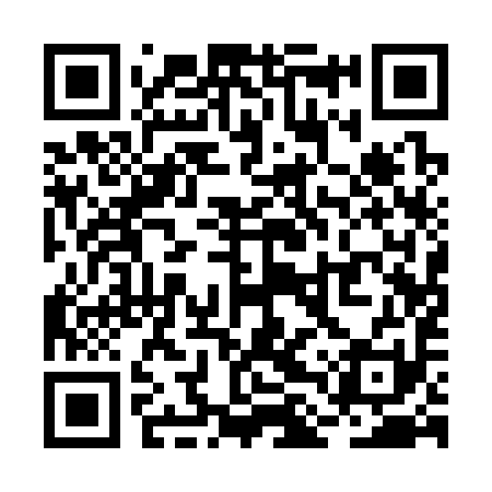 QR code for RLQ391