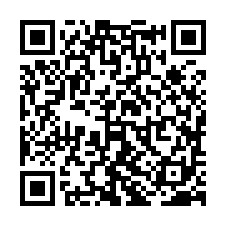 QR code for RLZ991
