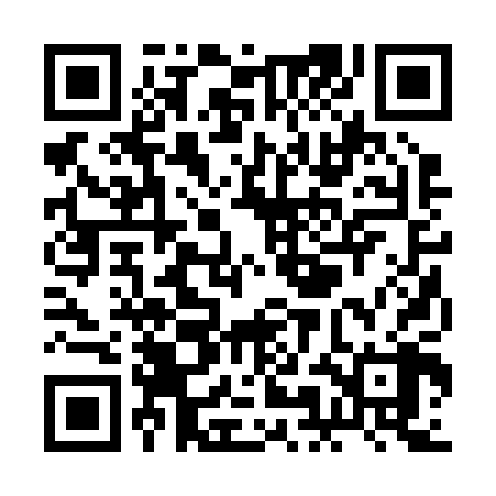 QR code for RMB208