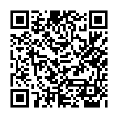 QR code for RMB462