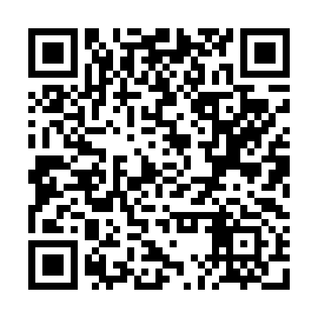 QR code for RMX493