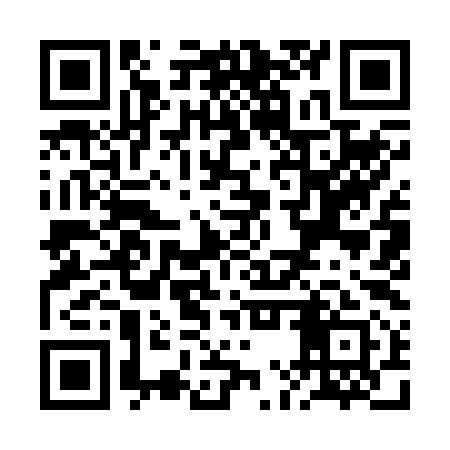 QR code for RMY291