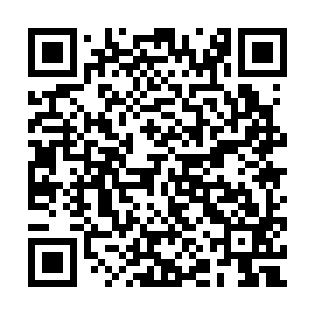 QR code for RNQ393
