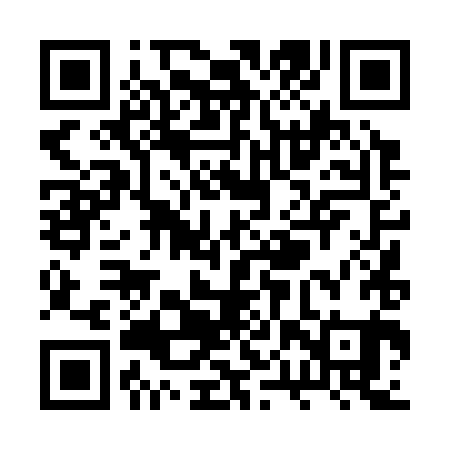 QR code for RPT381