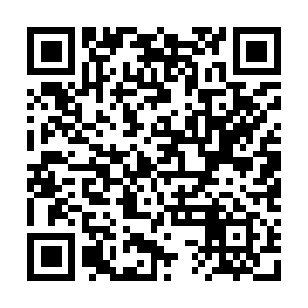 QR code for RSE919