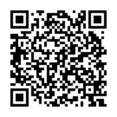 QR code for RSS299