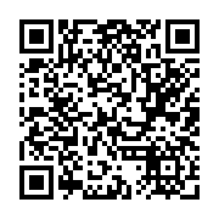 QR code for RTI387
