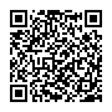 QR code for RUB333
