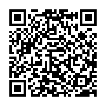 QR code for RYP919