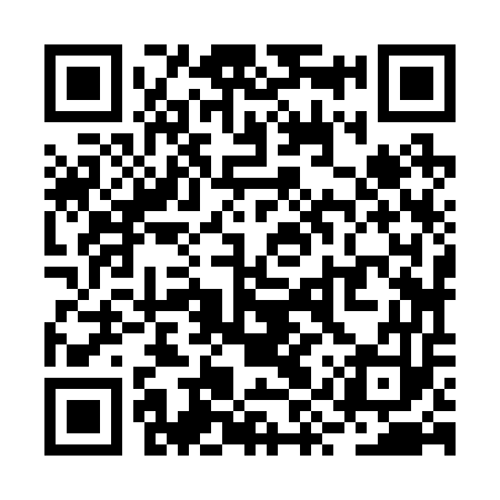 QR code for RYZ253