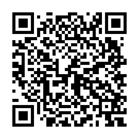 QR code for RYZ602