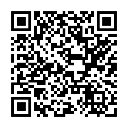 QR code for RZR291