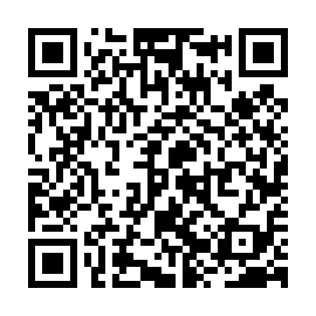 QR code for RZV419