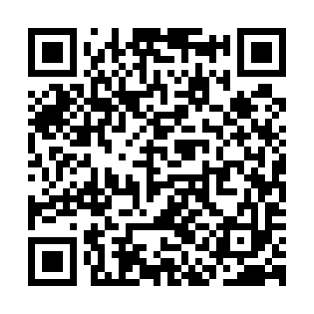 QR code for SAE593