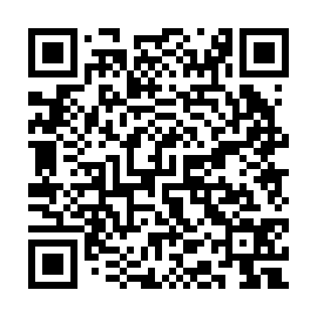 QR code for SAP234