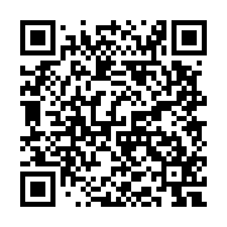 QR code for SAP517