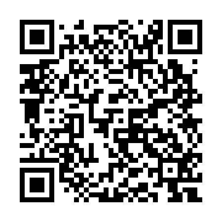 QR code for SAS313