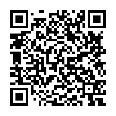 QR code for SAS833