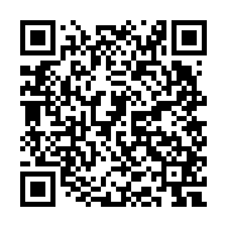 QR code for SAW641