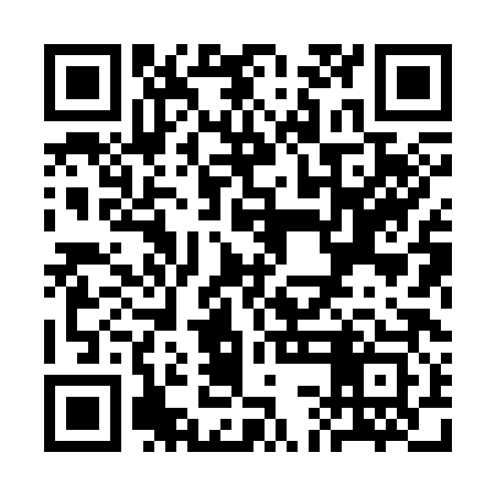 QR code for SCH383