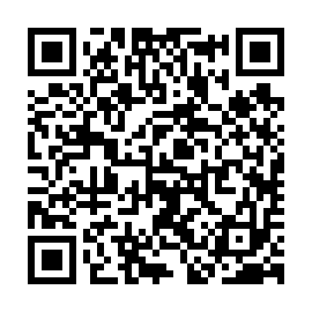 QR code for SCR613