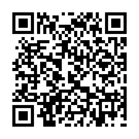 QR code for SDD393