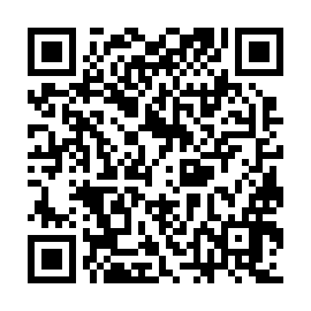 QR code for SDG296