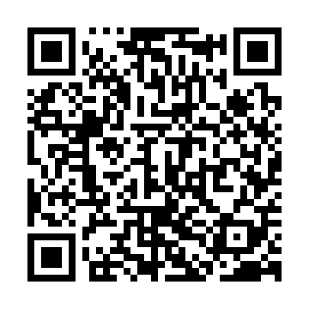 QR code for SDG309