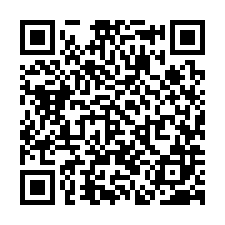 QR code for SEM382