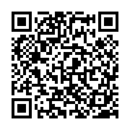 QR code for SFN061
