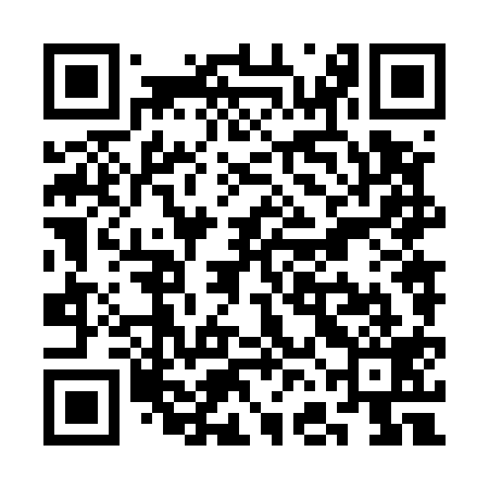 QR code for SFN519