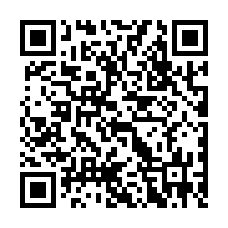 QR code for SFV173