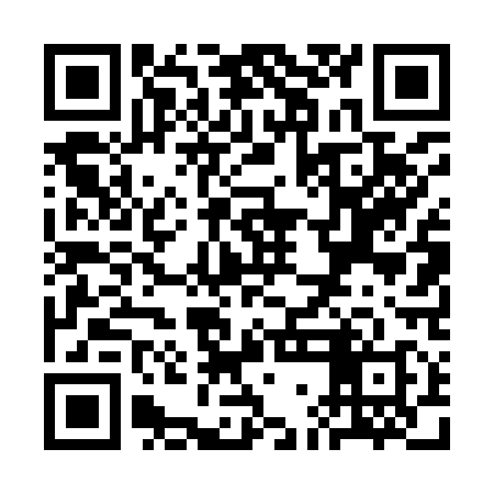 QR code for SGD918