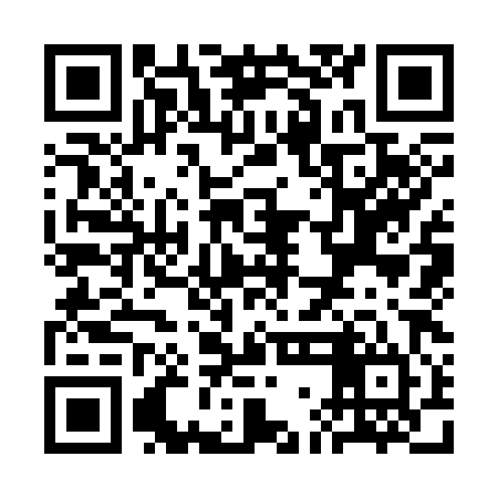QR code for SGK384