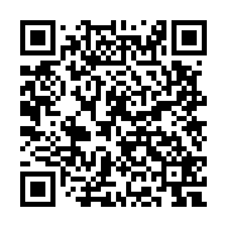 QR code for SGO529
