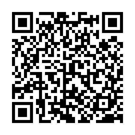 QR code for SIG541