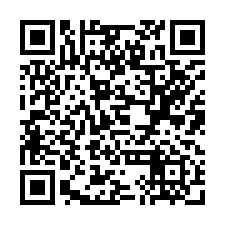 QR code for SIJ919