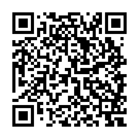 QR code for SIN382