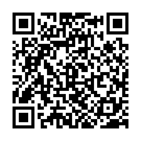 QR code for SIR335