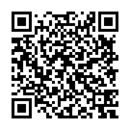 QR code for SJH838