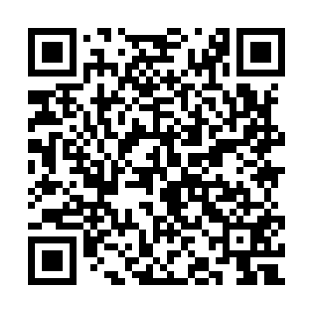 QR code for SJI951