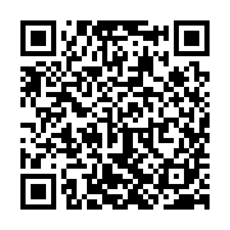 QR code for SJY381