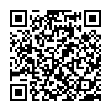 QR code for SKF039