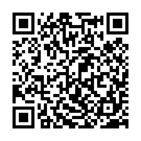 QR code for SKF494