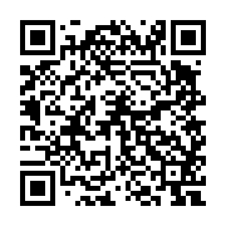 QR code for SKG482