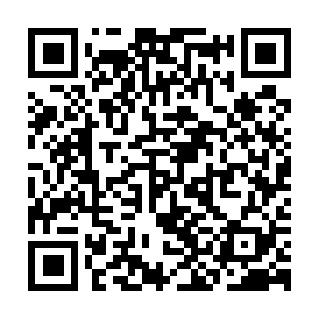 QR code for SKG529