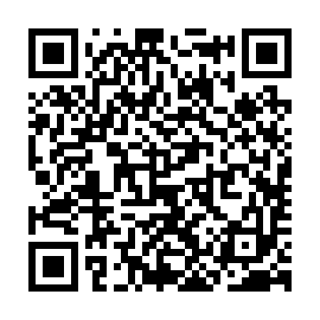 QR code for SKR293