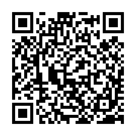 QR code for SKR497