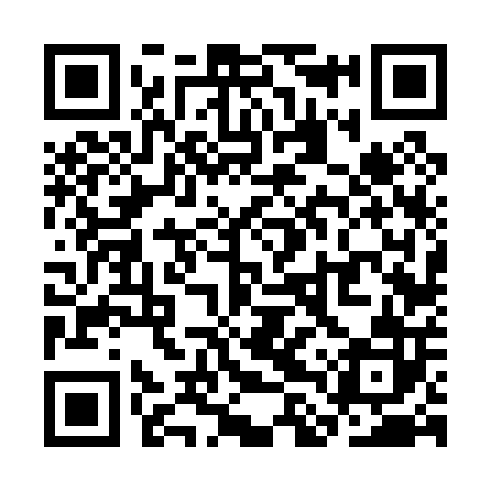 QR code for SLV002