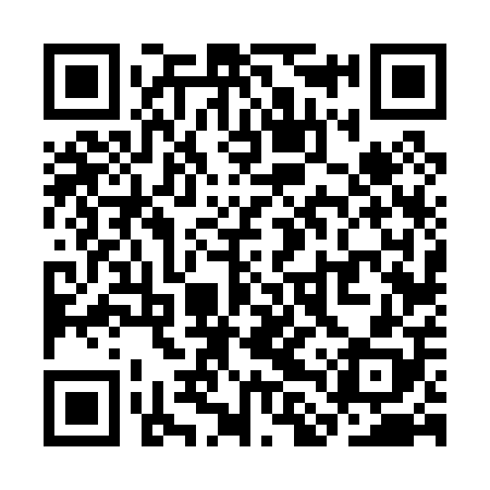 QR code for SLV008